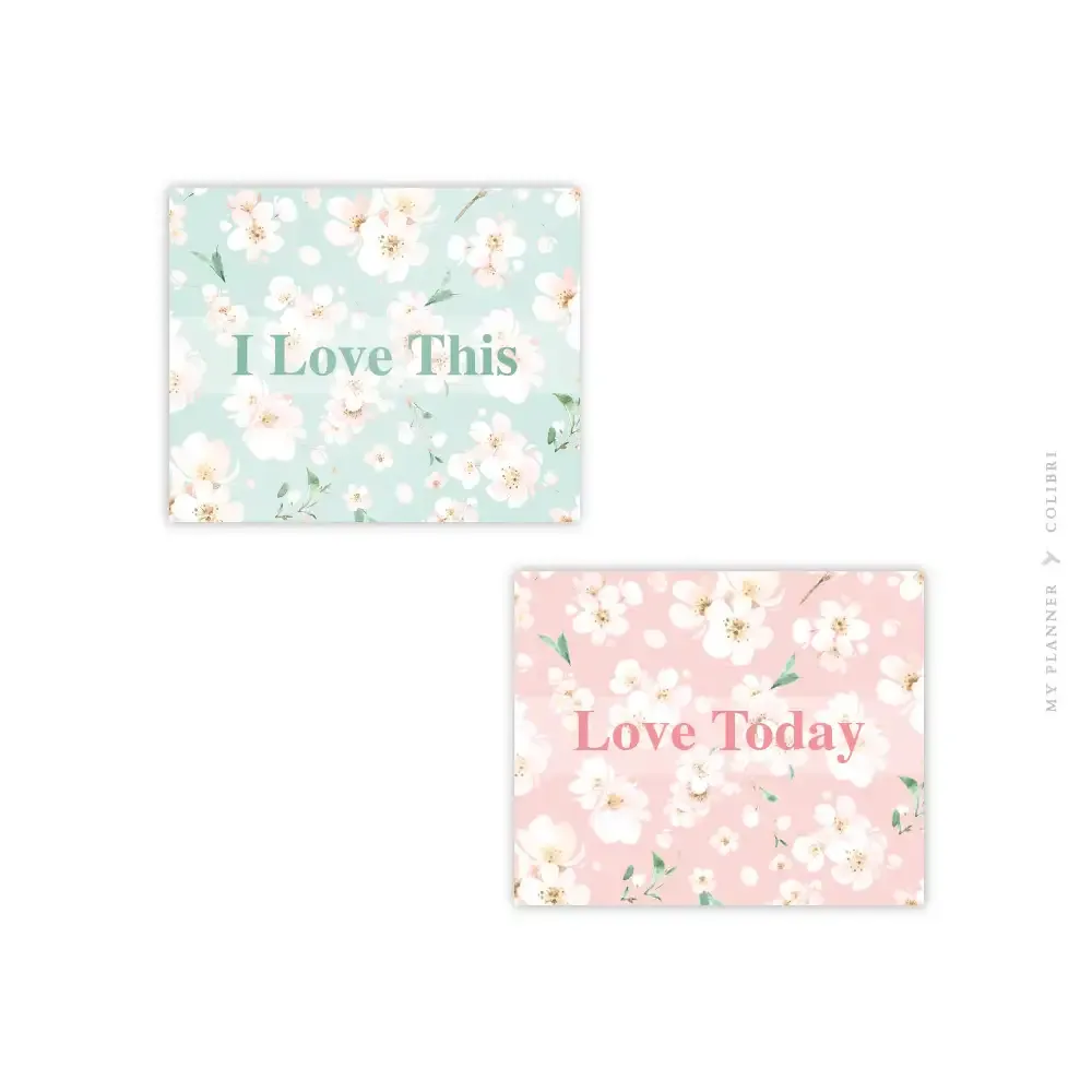 Kit Com 02 ímãs Blossom